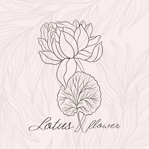 蓮の花のアウトライン手描きスタイル アジアの国のシンボル植物ヴィンテージ スケッチ デザイン