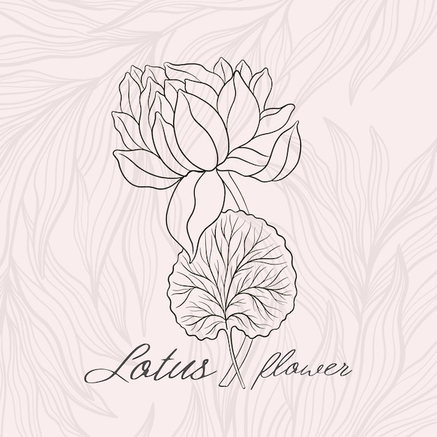 Lotus flower outline hnd drawn style asian national symbol plant vintage sketch design