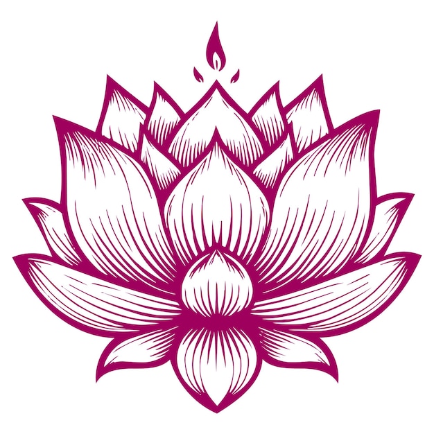 Vector lotus flower outline