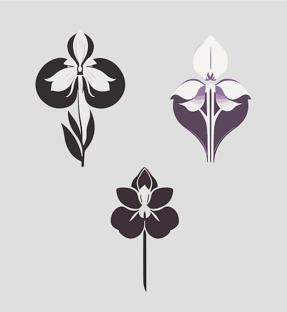 Vector lotus flower set