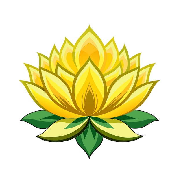 Lotus flower symbol yellow water lilly on white