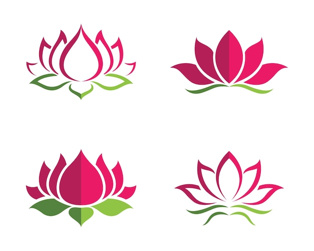 Lotus flowers design logo Template icon