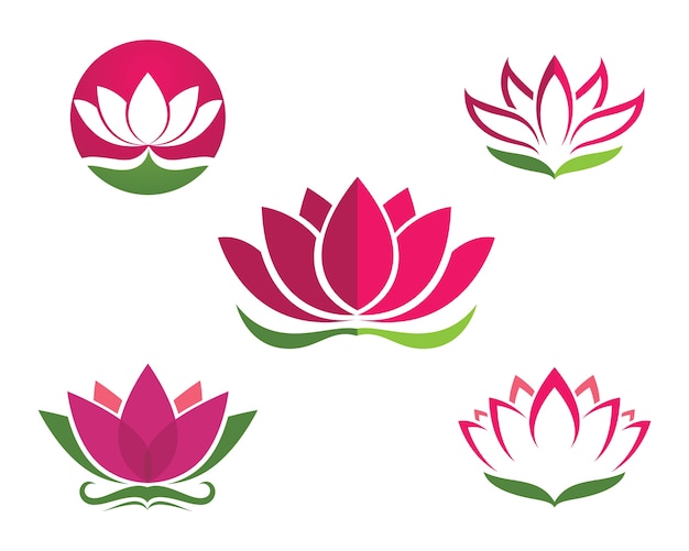  Lotus flowers design logo Template icon