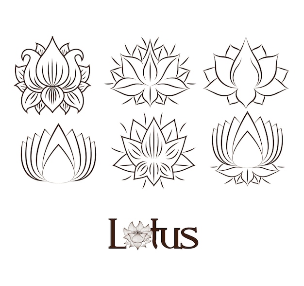 Lotus flowers drawing isolated icon design