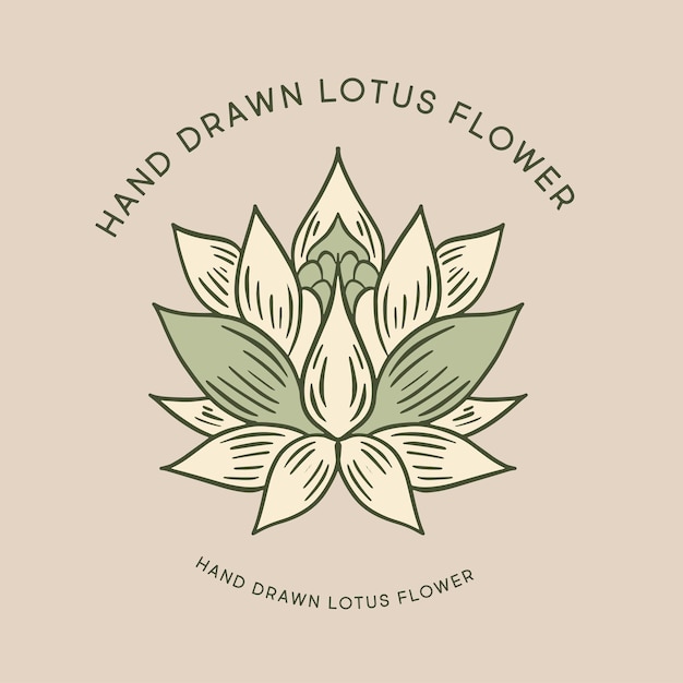 Lotus hand drawn illustrations vector
