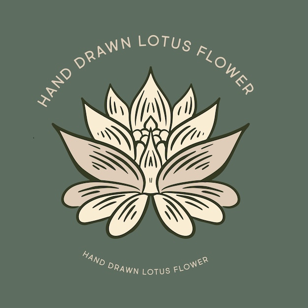 Lotus hand getrokken illustraties vector