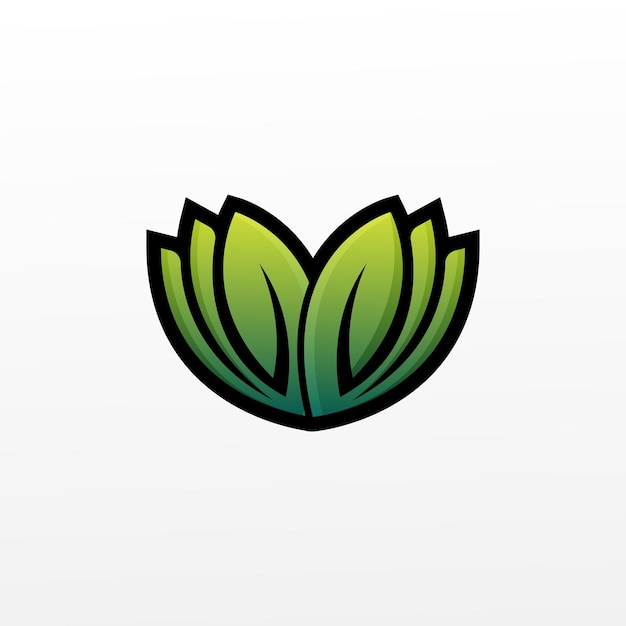 Lotus plant illustration