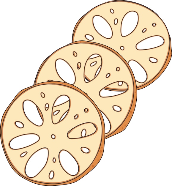 Vector lotus root slice delicious vegetable vector illustration graphic element design art card