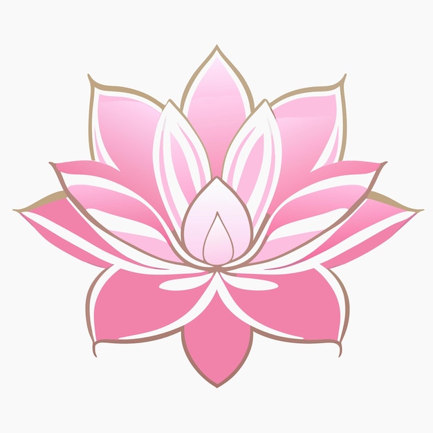 lotus vector illustration cartoon