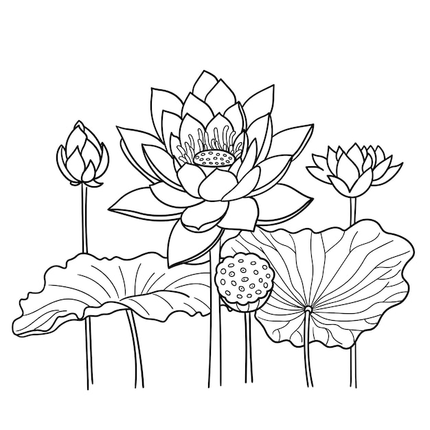 Lotus Waterlelies Vector cartoon illustratie Lijnstijl Geïsoleerd op een witte achtergrond