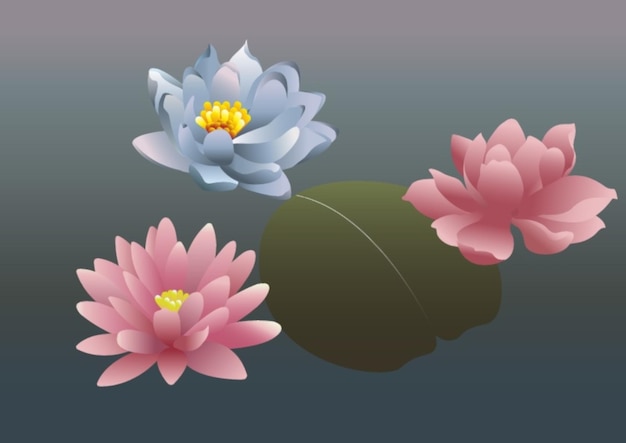 Lotus