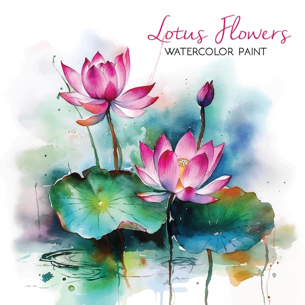 Lotusbloem aquarel verf