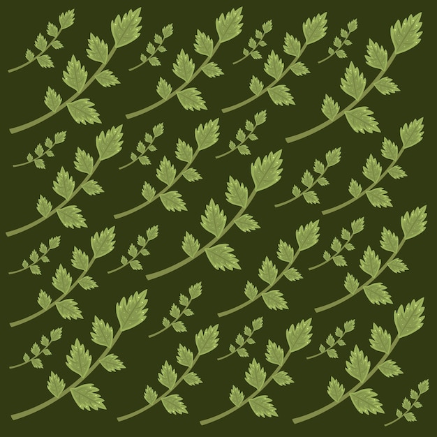 Vector lovage herbs leaf vector illustration