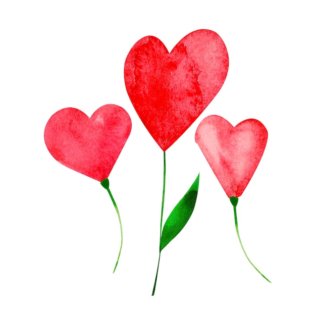 Vector love flowers red heart painted watercolor isolated