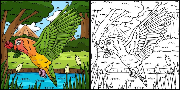 lovebird coloring page colored illustration