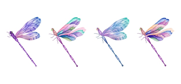 Lovely beautiful hand painted watercolor dragonfly set collection
