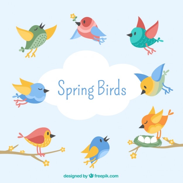 Vector lovely birds in vintage style