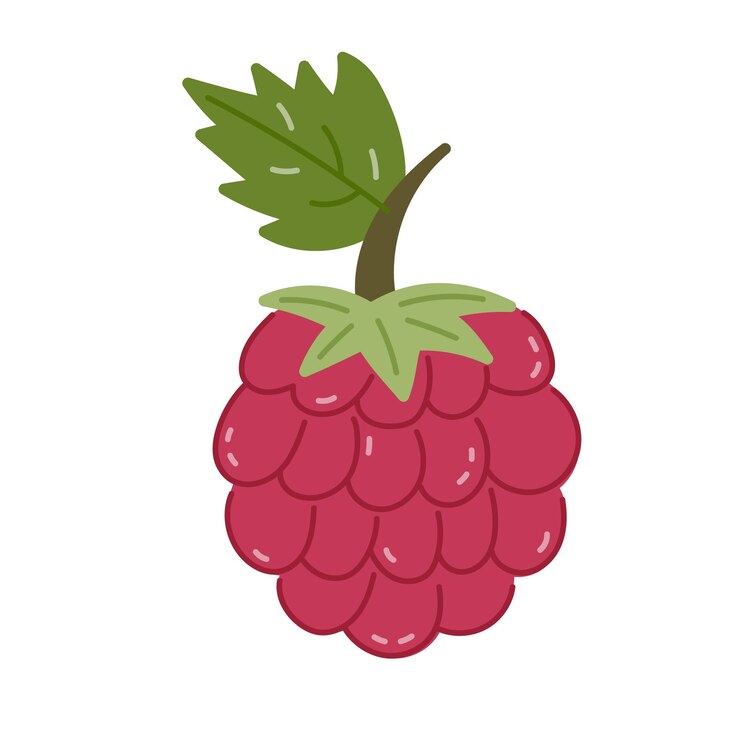 Vector lovely cartoon garden and forest raspberry with stem and leaves childish colorful berry