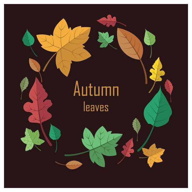 lovely colorful autumn leaves