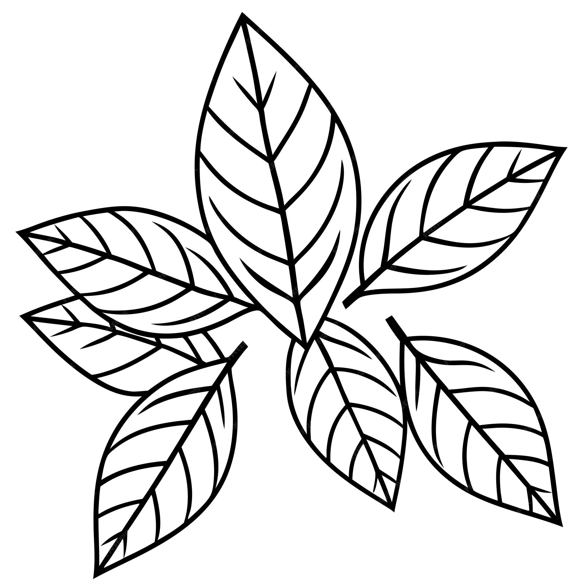 Premium Vector Lovely coloring pages of leaves