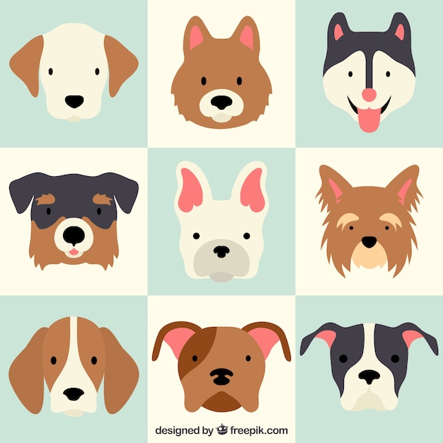 Vector lovely dog breeds