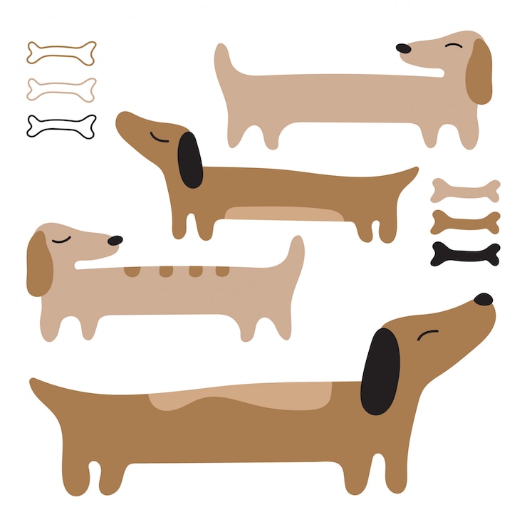 Vector 素敵な犬のダックスフント。長い赤い犬