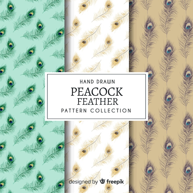 Lovely hand drawn peacock feather pattern