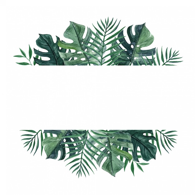 Vector lovely natural background with monstera and palm leaves