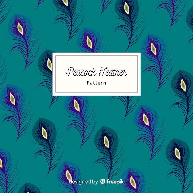 Lovely peacock feather pattern with flat design