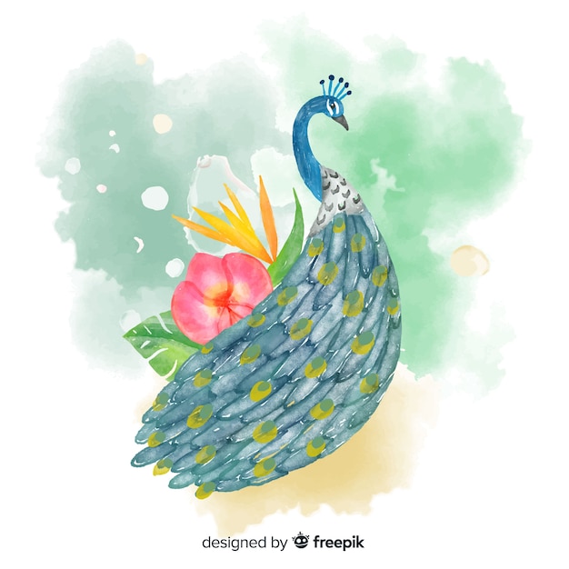 Lovely peacock in watercolor style