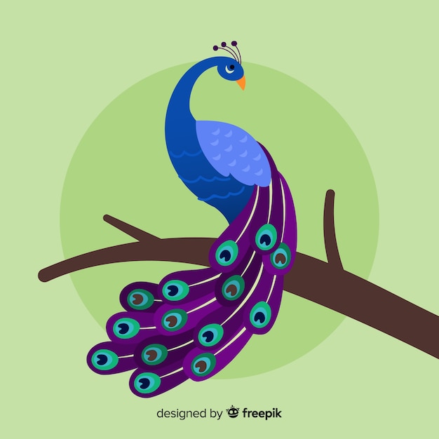 Lovely peacock with flat design