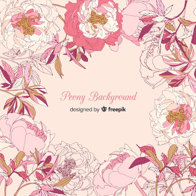 Lovely peony flower background