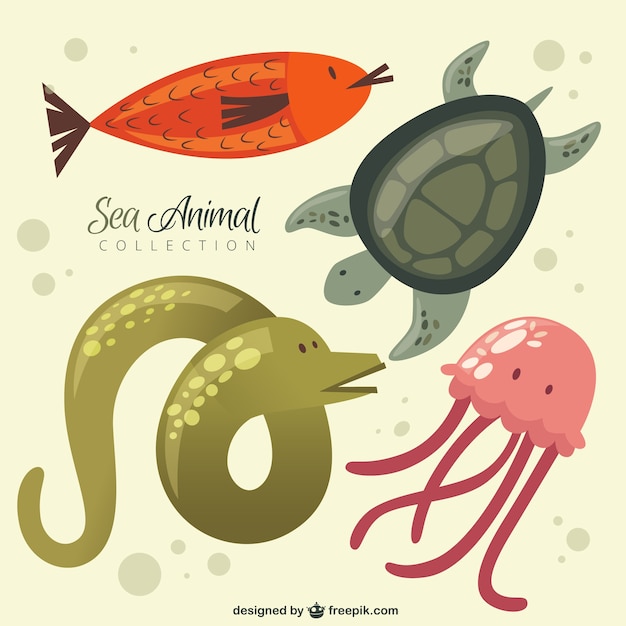 Collezione animale bello del mare