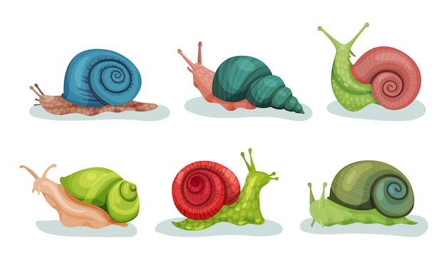 Lovely Snails Crawling In Different Directions Vector Illustrations Small Cute Animals With Slow Movements Concept