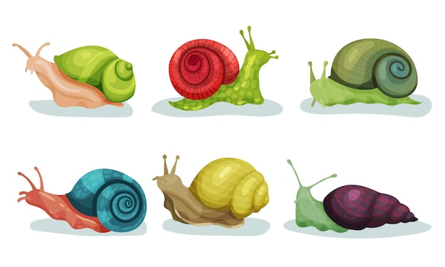 Lovely Snails Crawling In Different Directions Vector Illustrations Small Cute Animals With Slow Movements Concept