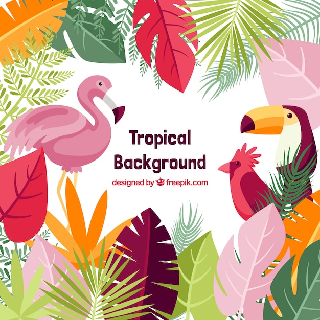 Lovely tropical background with flat design