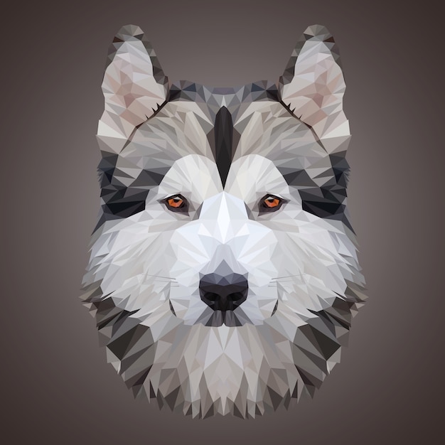 Vector low pollydog's head illustration