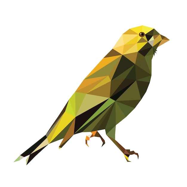 Low poly bird vector design paint