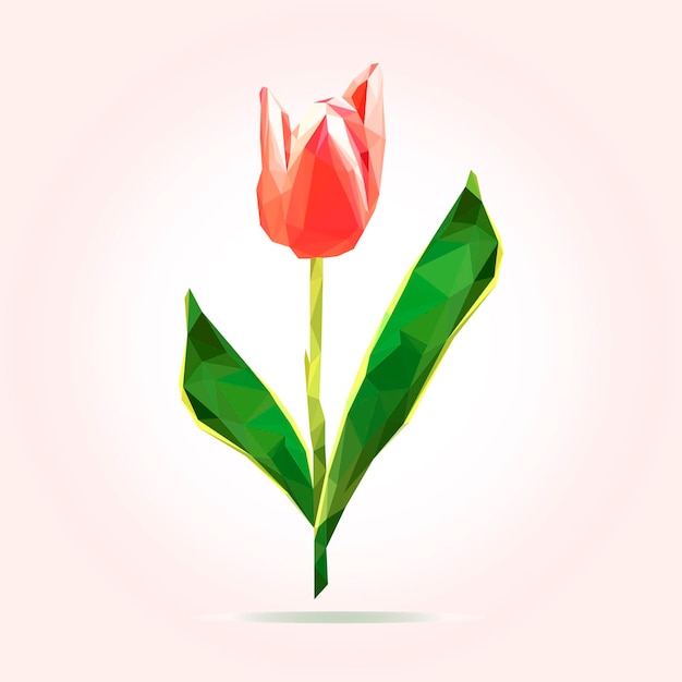 Low poly flower tulip Mothers day card Logo vector design