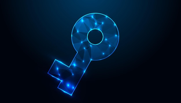 low poly key design security key symbol key design with neon style lighting design