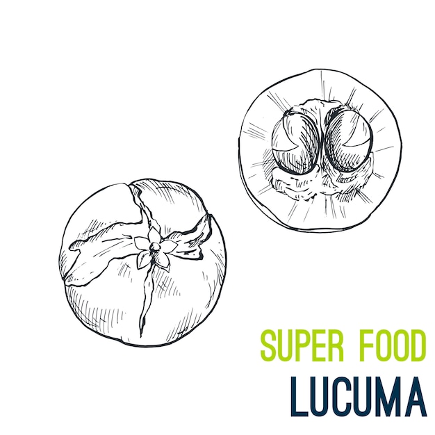 Lucuma, Super food hand drawn