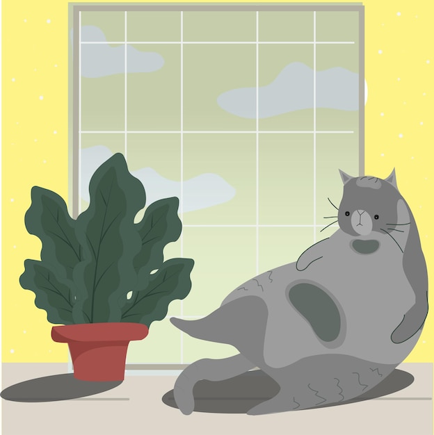 luie grijze kat liggend op de vensterbank