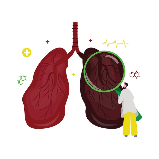 легкие анатомия органа тела нездоровое заболевание дыхательной системы человека дыхание и врач
