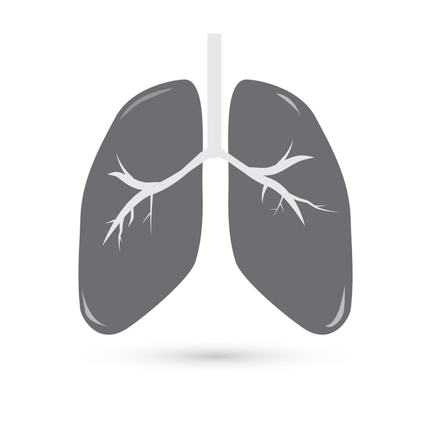 Icona del polmone isolata su sfondo bianco illustrazione vettoriale del concetto medico e sanitario