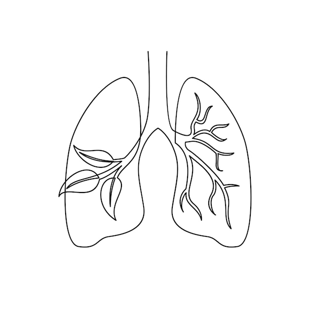 Vector lung single line illustration drawing