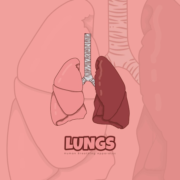 Lungs in cartoon design for health template in pink background\
design