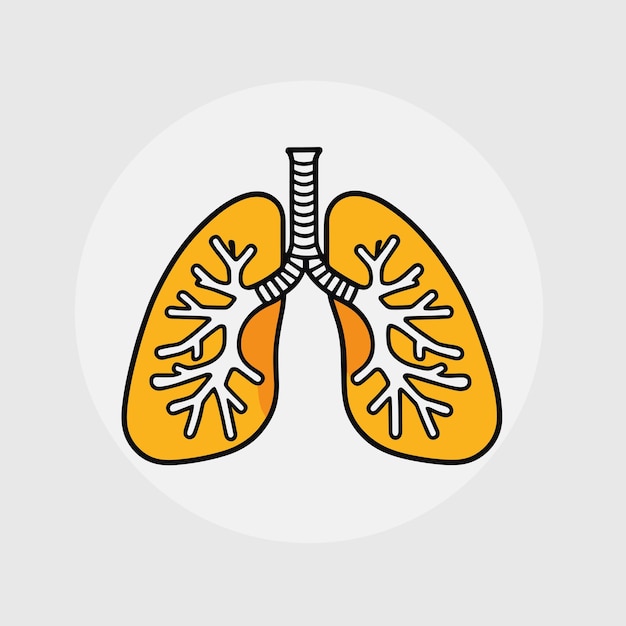 Vector lungs cartoon drawing respiratory health concept design