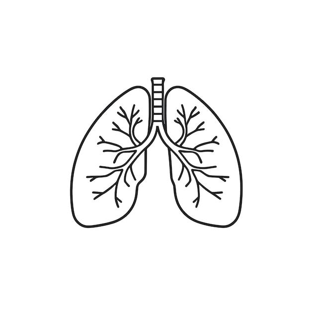 Vector lungs cartoon drawing respiratory health concept design