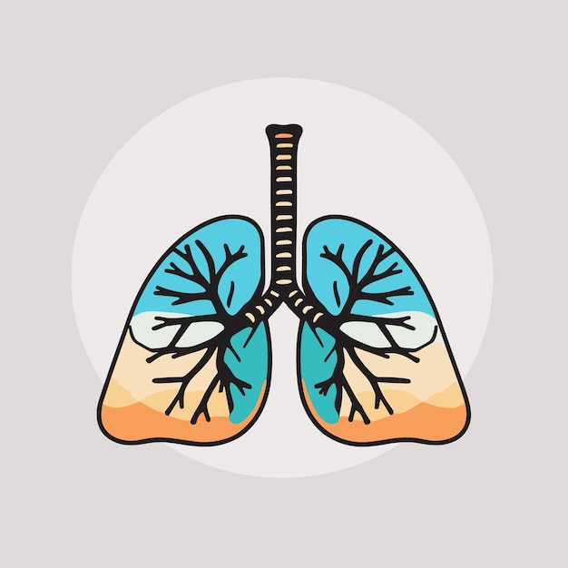 Vector lungs cartoon drawing respiratory health concept design