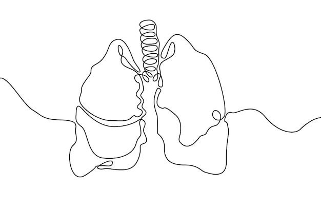 벡터 폐 손으로 그린 아이콘 연속 선 그리기 인간의 장기 크리에이 티브 추상 미술 배경 유행 개념 하나의 단일 라인 디자인 개요 간단한 이미지 흑백 색상 벡터